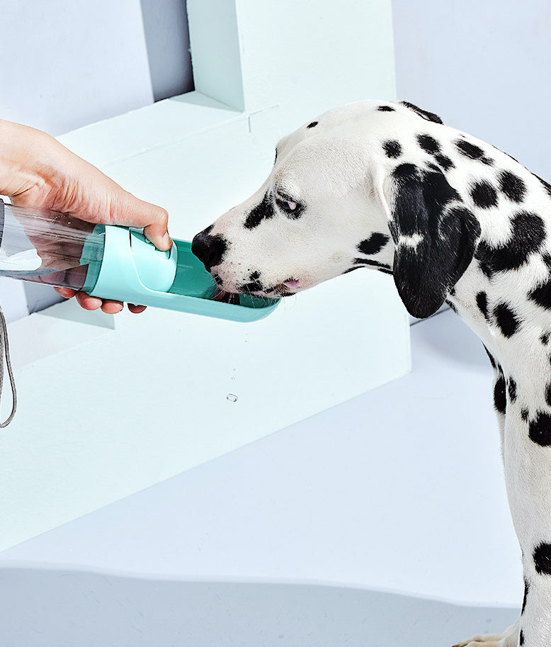 遛狗伸縮式過濾水樽 Portable Water Bottle With Activated Carbon Filter