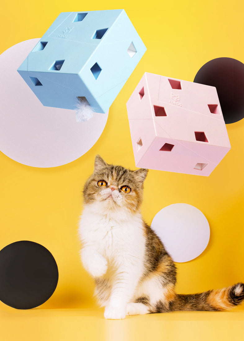 智能躲貓貓羽毛盒(二代)AI Interactive Cat Feather Toy Box
