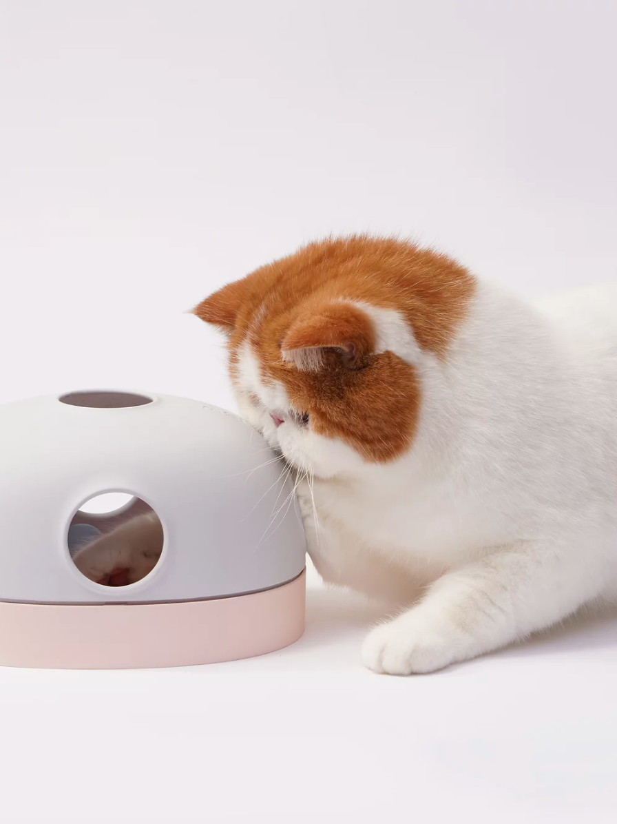 貓貓尋寶玩具盒 3-in-1 Interactive Cat Treasure Box