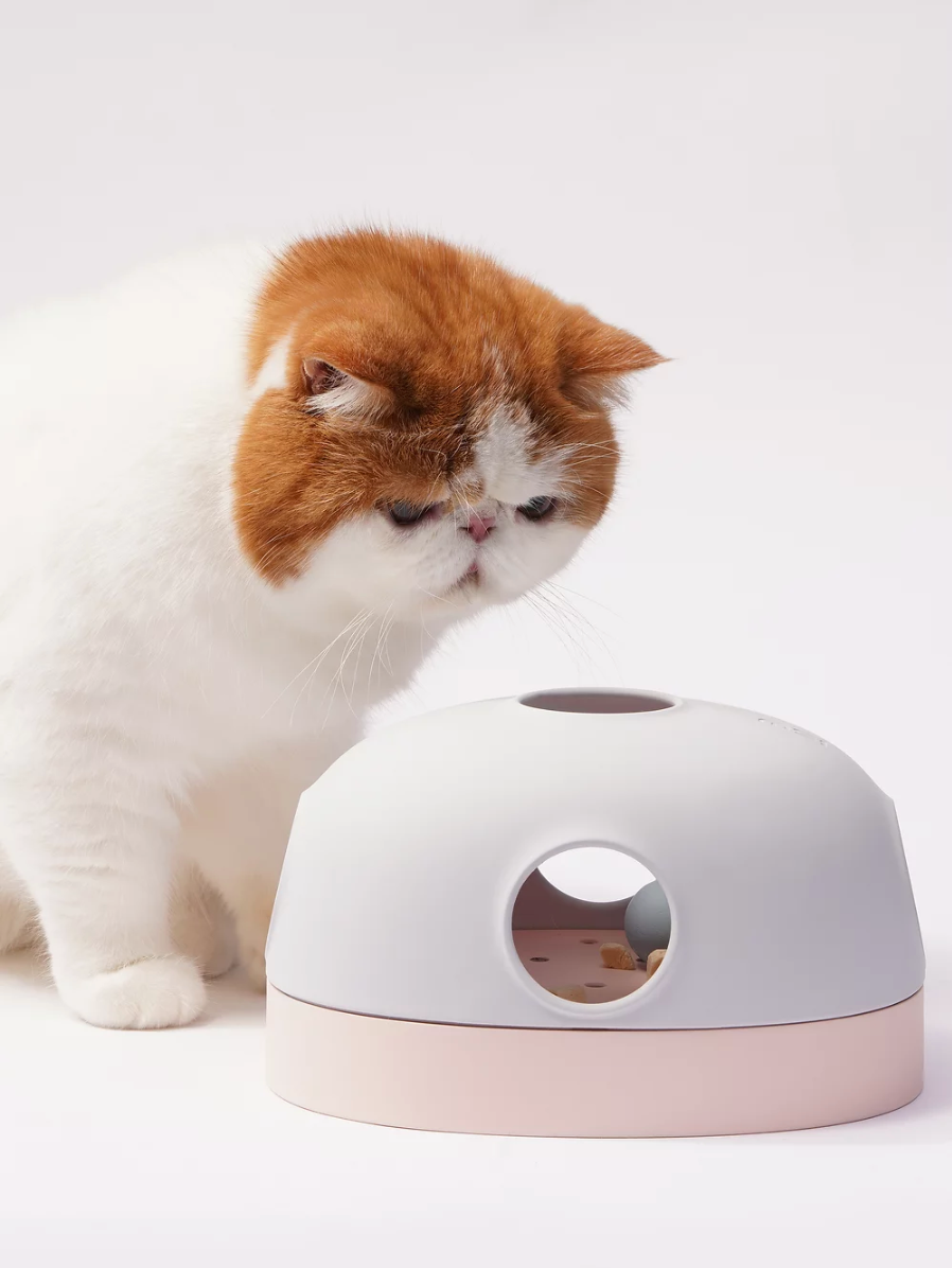 貓貓尋寶玩具盒 3-in-1 Interactive Cat Treasure Box