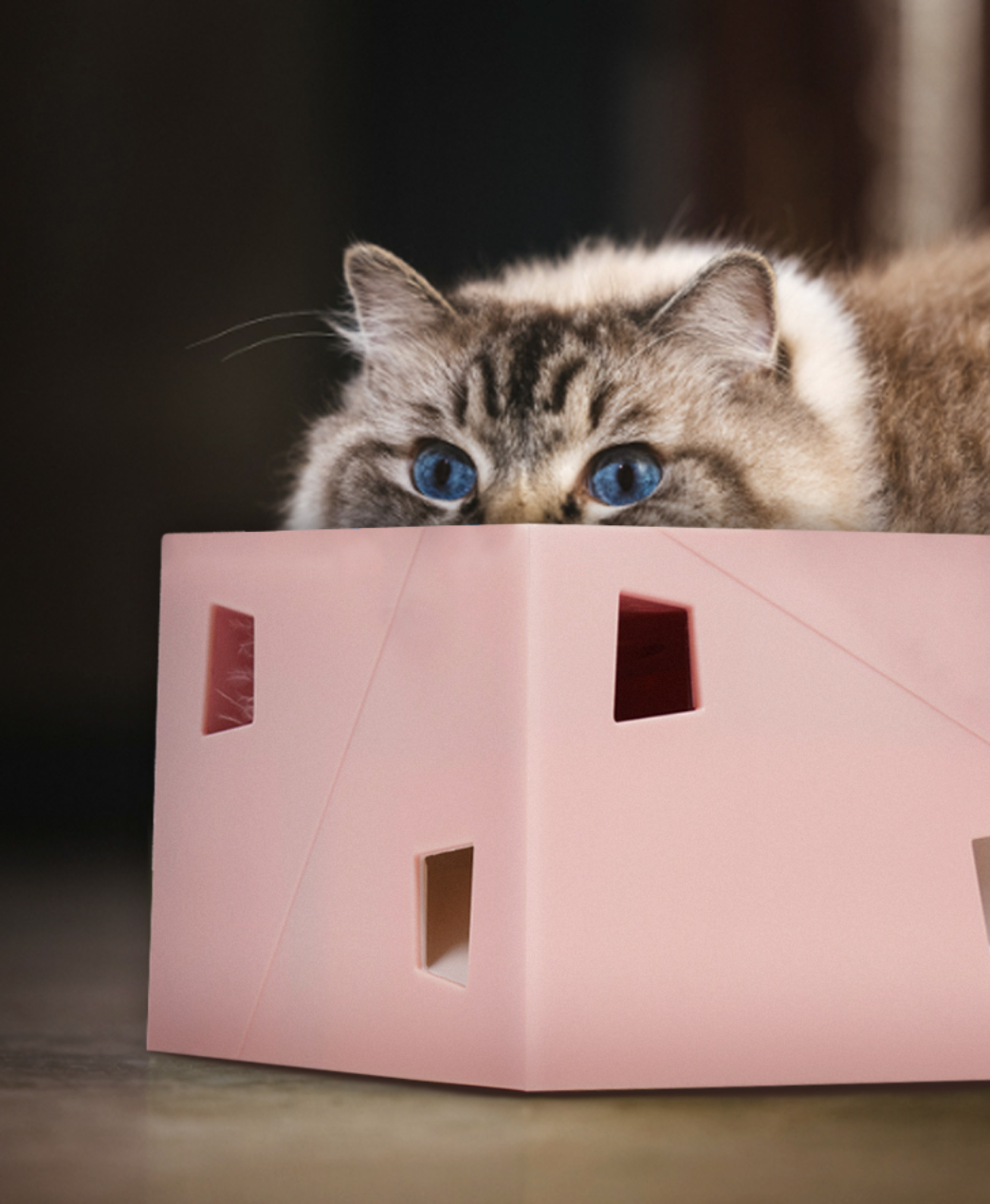 智能躲貓貓羽毛盒(二代)AI Interactive Cat Feather Toy Box