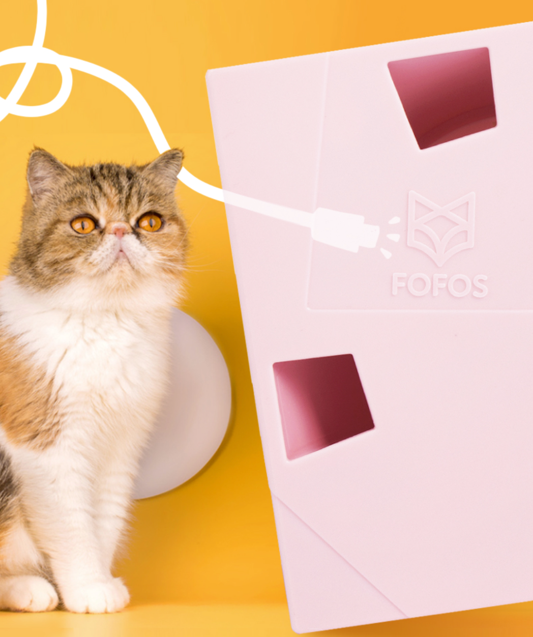 智能躲貓貓羽毛盒(二代)AI Interactive Cat Feather Toy Box