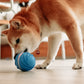 智能霹靂旋風彈彈球（汪汪專用矽膠款）Smart Dog Toy Ball