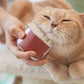 果凍按摩除毛梳 Washable Kimochi Grooming Brush