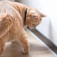 貓貓智能紅光頸圈 Cat Collar Laser Toy