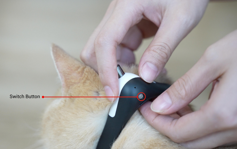 貓貓智能紅光頸圈 Cat Collar Laser Toy