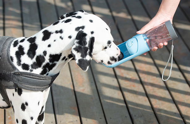 遛狗伸縮式過濾水樽 Portable Water Bottle With Activated Carbon Filter