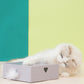 智能躲貓貓羽毛盒（一代）AI Interactive Cat Feather Toy Box