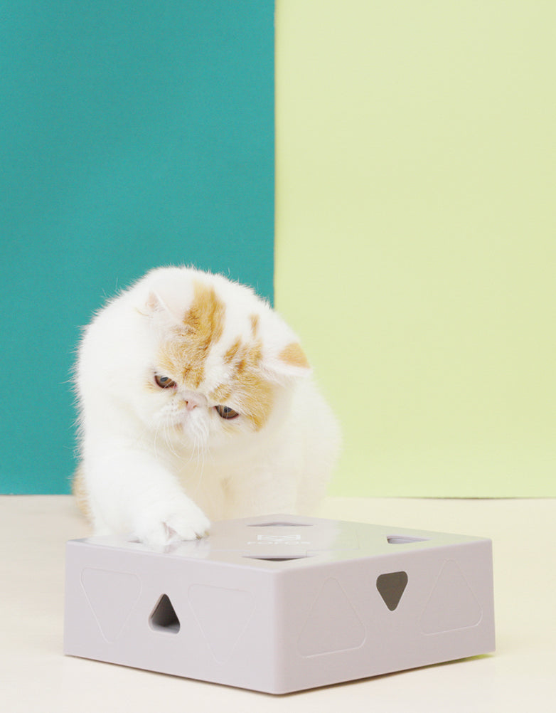 智能躲貓貓羽毛盒（一代）AI Interactive Cat Feather Toy Box