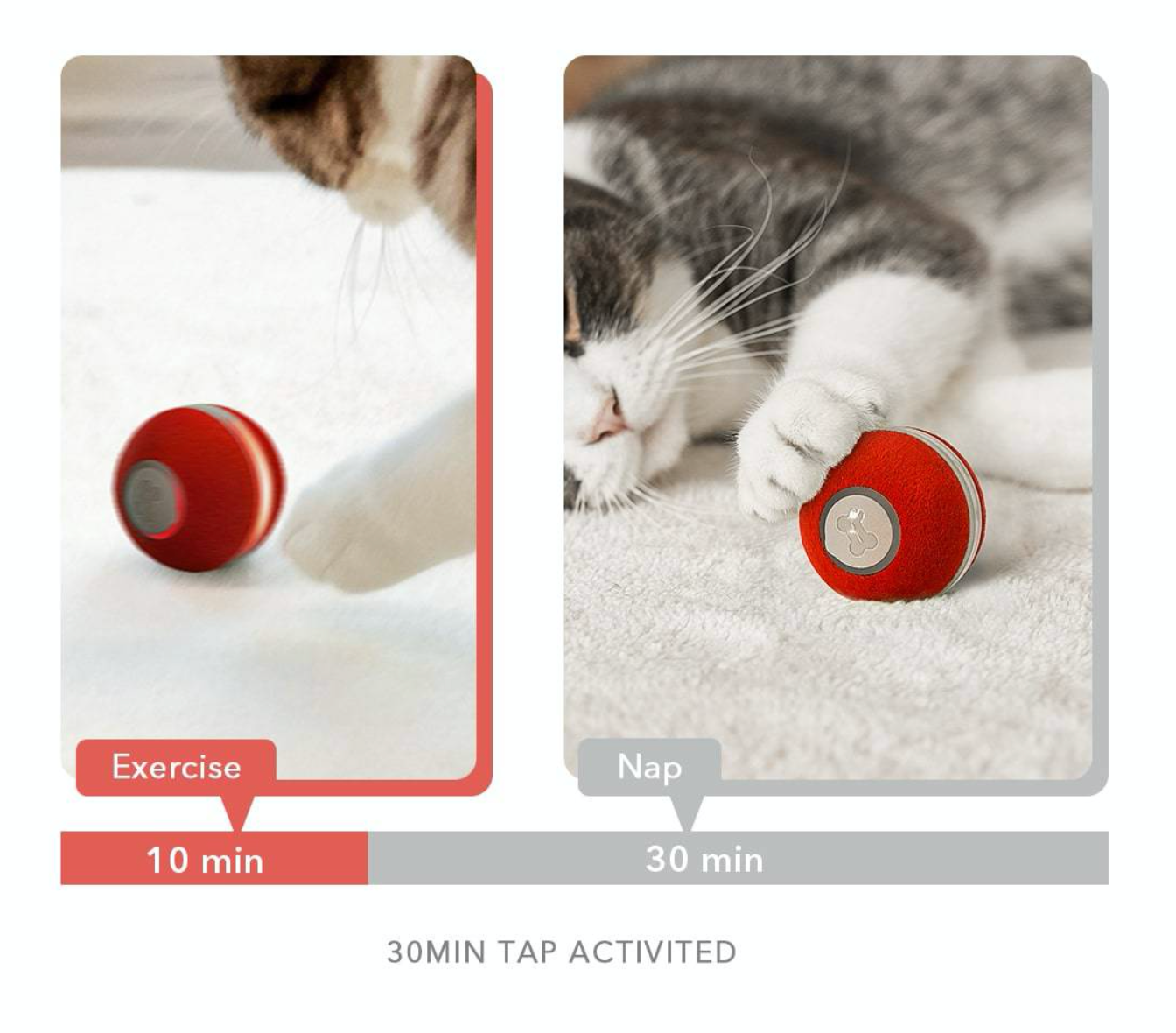 智能霹靂旋風彈彈球（貓咪專用毛絨款）Smart Cat Toy Ball