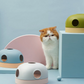 貓貓尋寶玩具盒 3-in-1 Interactive Cat Treasure Box