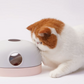 貓貓尋寶玩具盒 3-in-1 Interactive Cat Treasure Box