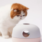 貓貓尋寶玩具盒 3-in-1 Interactive Cat Treasure Box