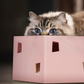 智能躲貓貓羽毛盒（二代）AI Interactive Cat Feather Toy Box